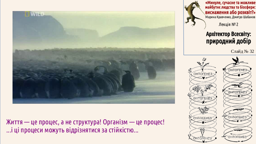 ExhOrProsp 02 Selection 32