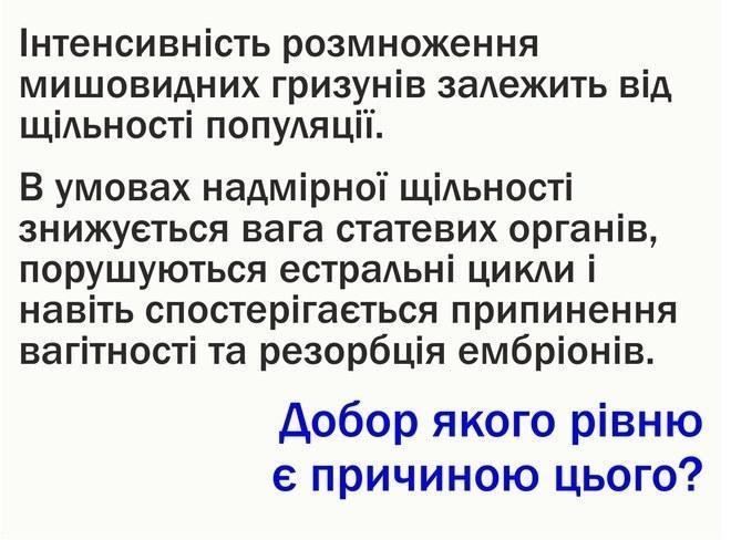 InvisibleHead11