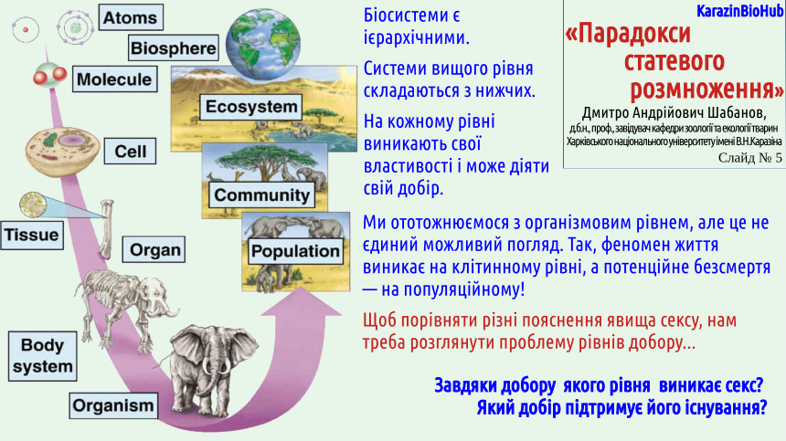 ParadoxesOfSex 05