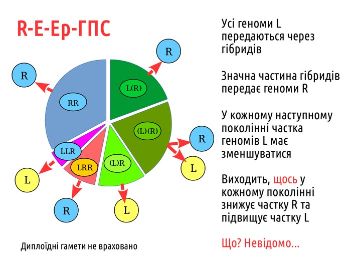 PhisTech 16