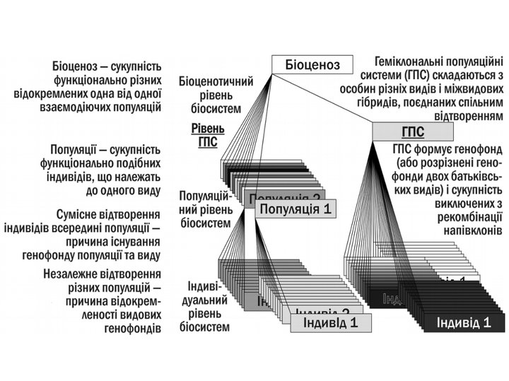 PhisTech 39