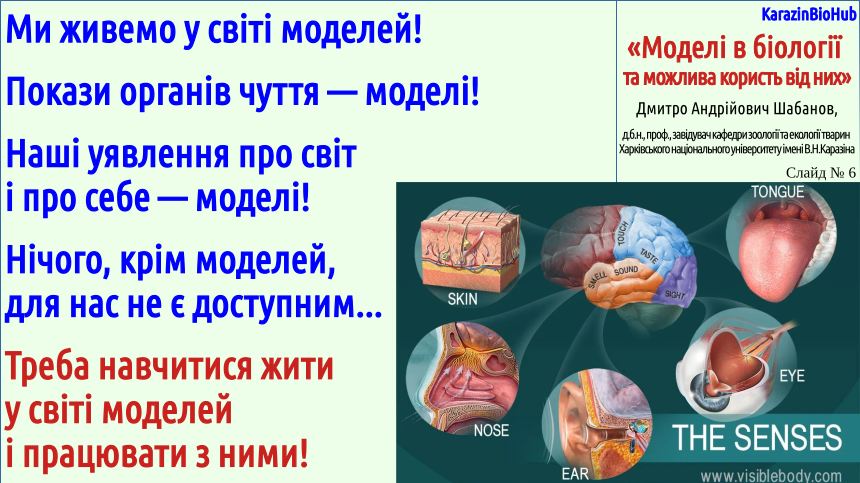 UsefulModels 06