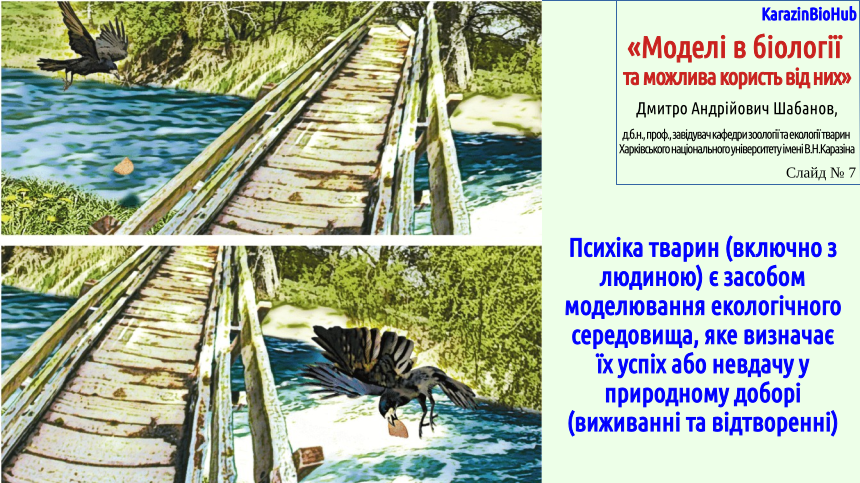 UsefulModels 07