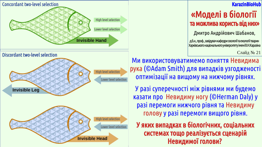 UsefulModels 21