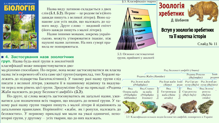Zoo 01 Zoology 11