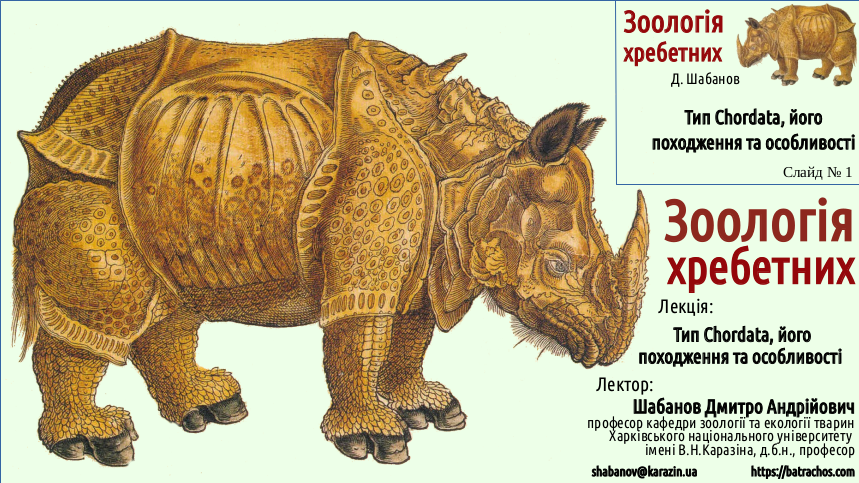 Zoo 02 Chordata 01