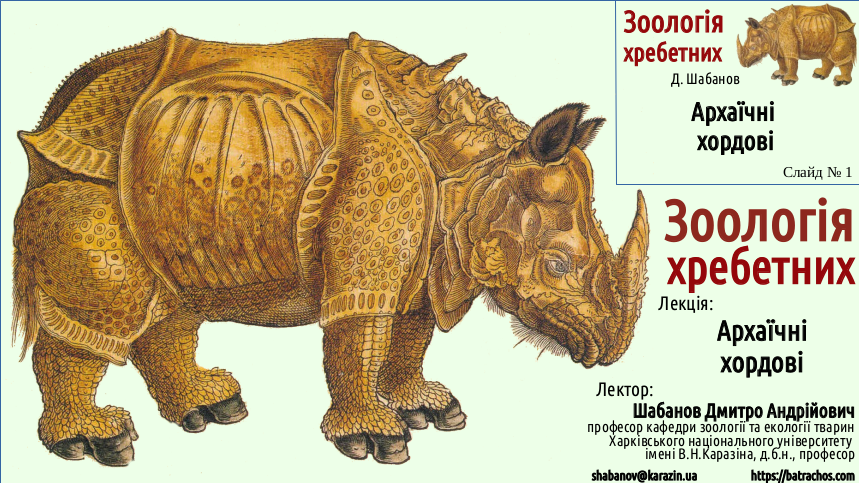 Zoo 03 Acrania Agnatha 01