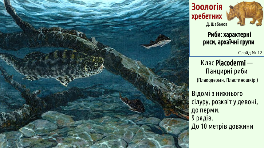 Zoo 04 Pisces 12