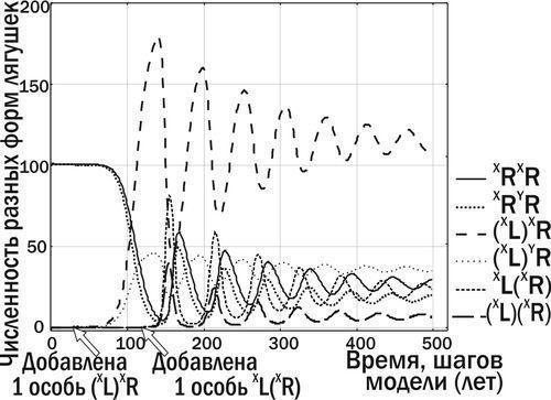 Рис. 7. Попадання в ГПС, показану на рис. 6, особини P. esculentus з клональним геномом (XR) призводить до того, що ГПС переходить у стан стійкої рівновагиЗапропонований у моделі комплекс факторів виявився достатнім для моделювання трансформацій,