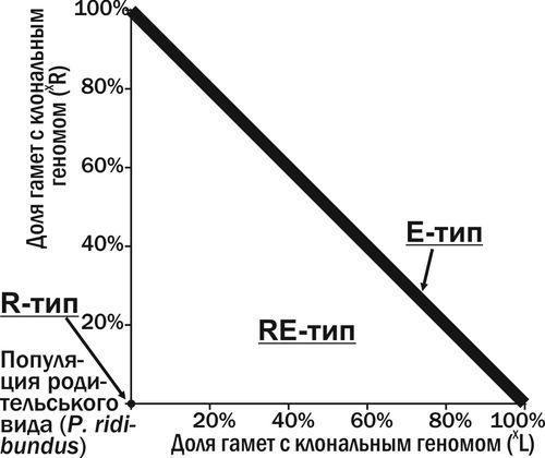 Рис. 9. Типи ГПС (за складом) у фазовому просторі станів ГПС з P. ridibundus та гибридами, що передають жіночі клональні геноми