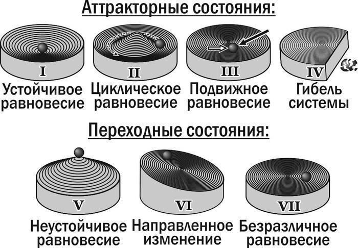 Рис. 13. Фізичні аналогії типів станів ГПС зелених жаб (та інших біосистем) з точки зору їх стійкостіПорівняння різноманіття станів ГПС за результатами моделювання та за емпіричними даними. У експериментах з моделлю встановлено, що склад ГПС може