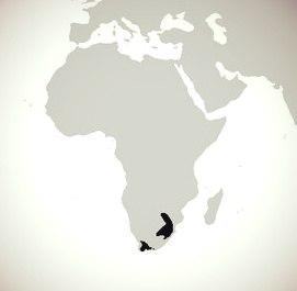 areal