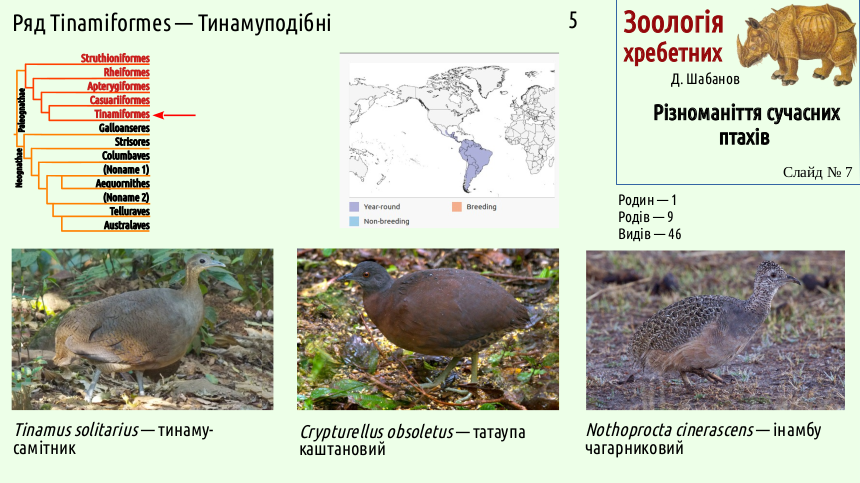 avian systematics 07