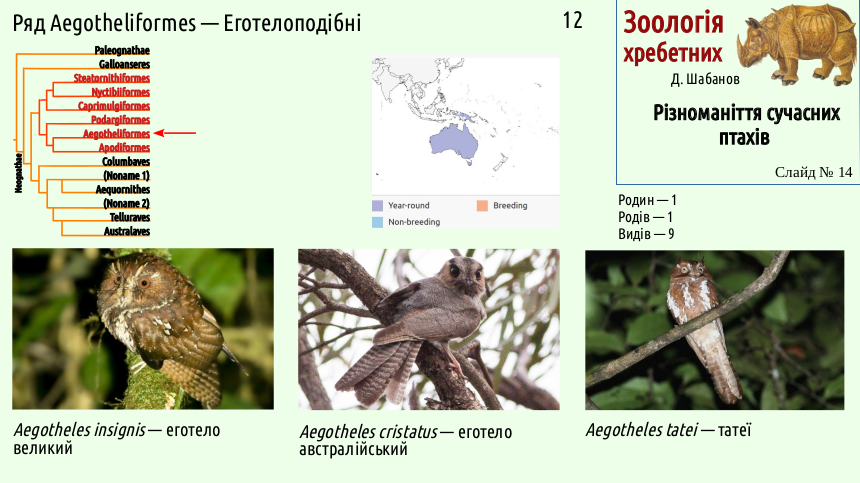 avian systematics 14