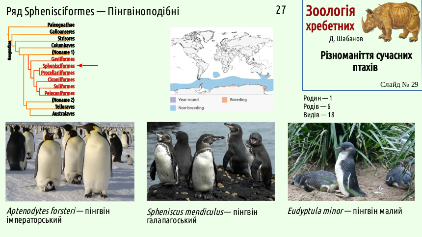 avian systematics 29