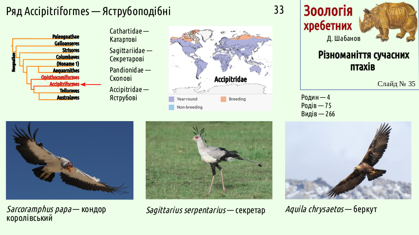 avian systematics 35