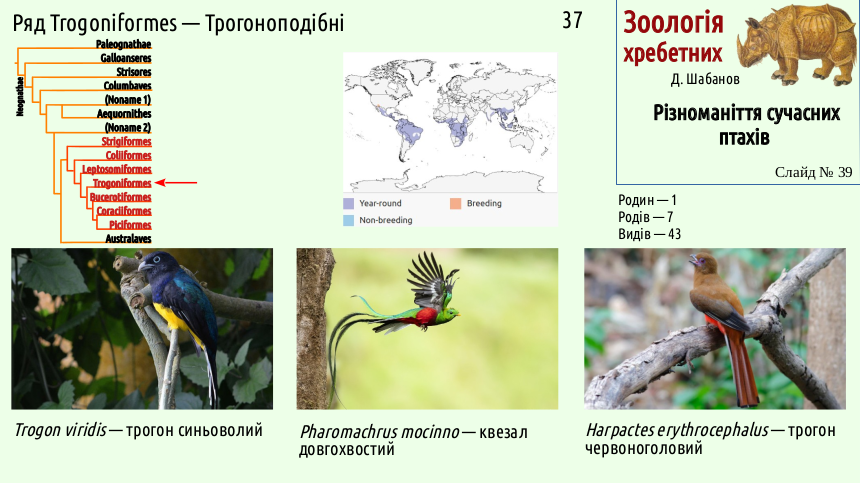 avian systematics 39