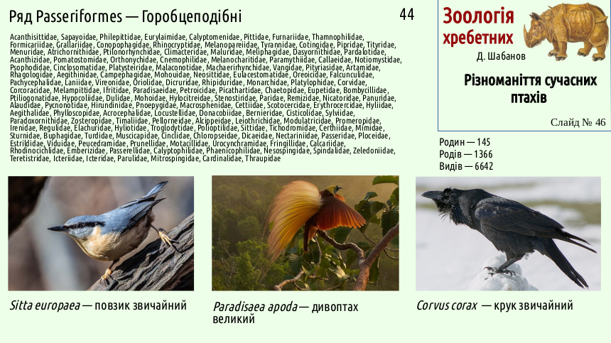 avian systematics 46