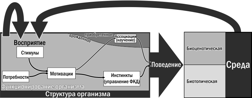 behavior i