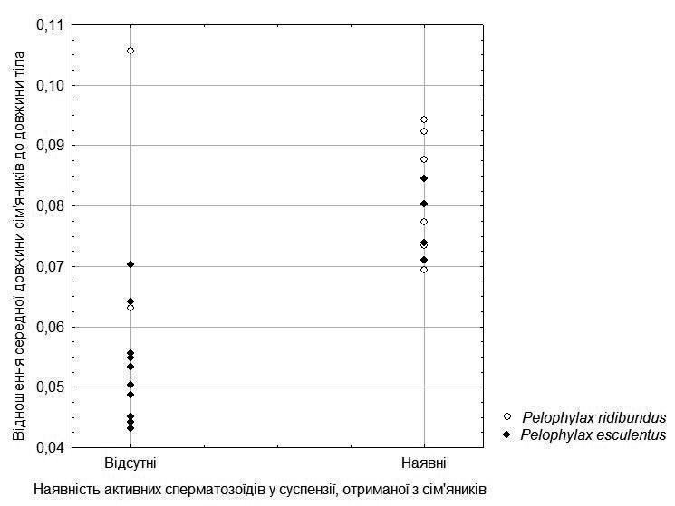 Рис. 2. Залежність здатності продукувати активні сперматозоїди самців жаб, що належать до батьківського виду або до міжвидових гібридів, від відносного розміру сім’яників Значного зв’язку між наявністю активних сперматозоїдів та асиметрією сім’ян