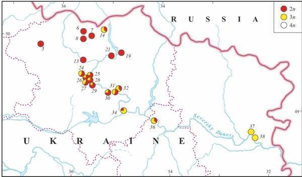 Fig. 9. The distribution of diploid and polyploid hybrids in eastern Ukraine (based on genome size data). TABLE 4. Incidence of Diploid and Triploid Hybrids in Localities of Eastern Ukraine