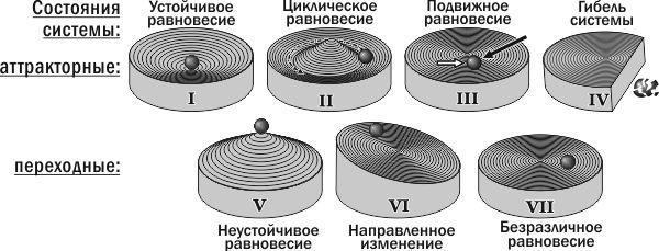 Рис. 8. Типи стійкості біосистем (фізичні аналогії)
