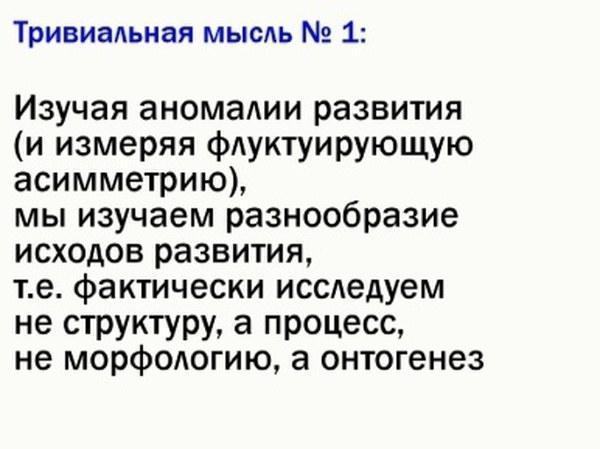 ek rap 02