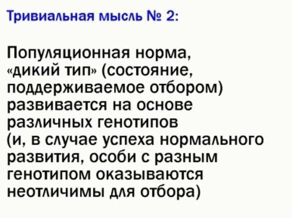 ek rap 04