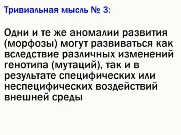 ek rap 06