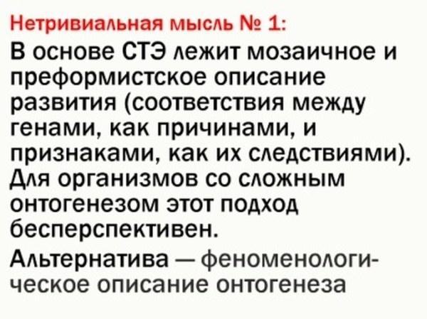 ek rap 08