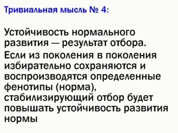 ek rap 10