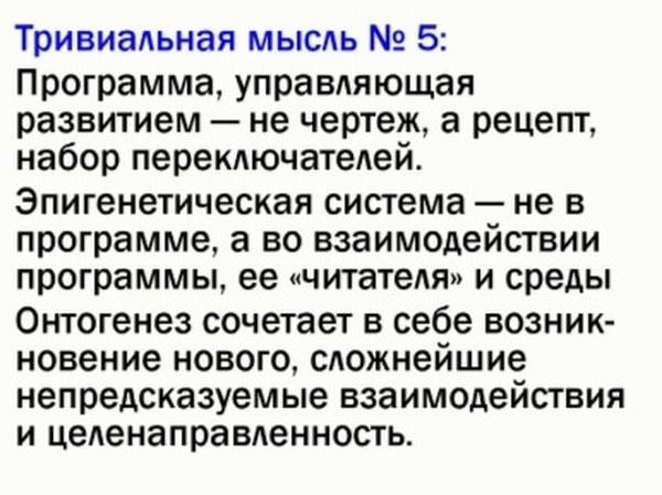 ek rap 12