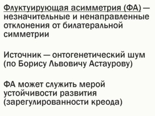 ek rap 19