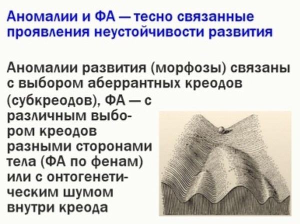 ek rap 21