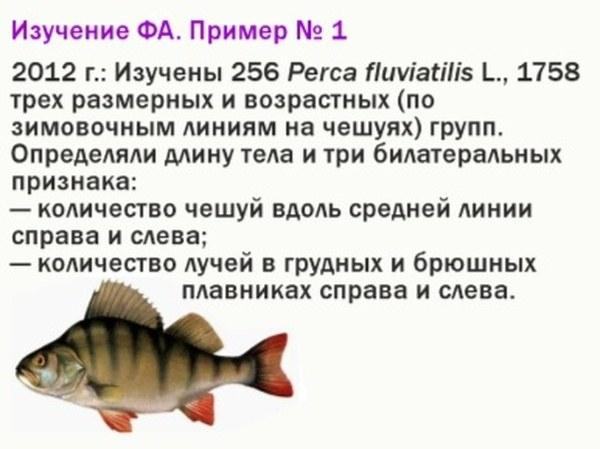 ek rap 27