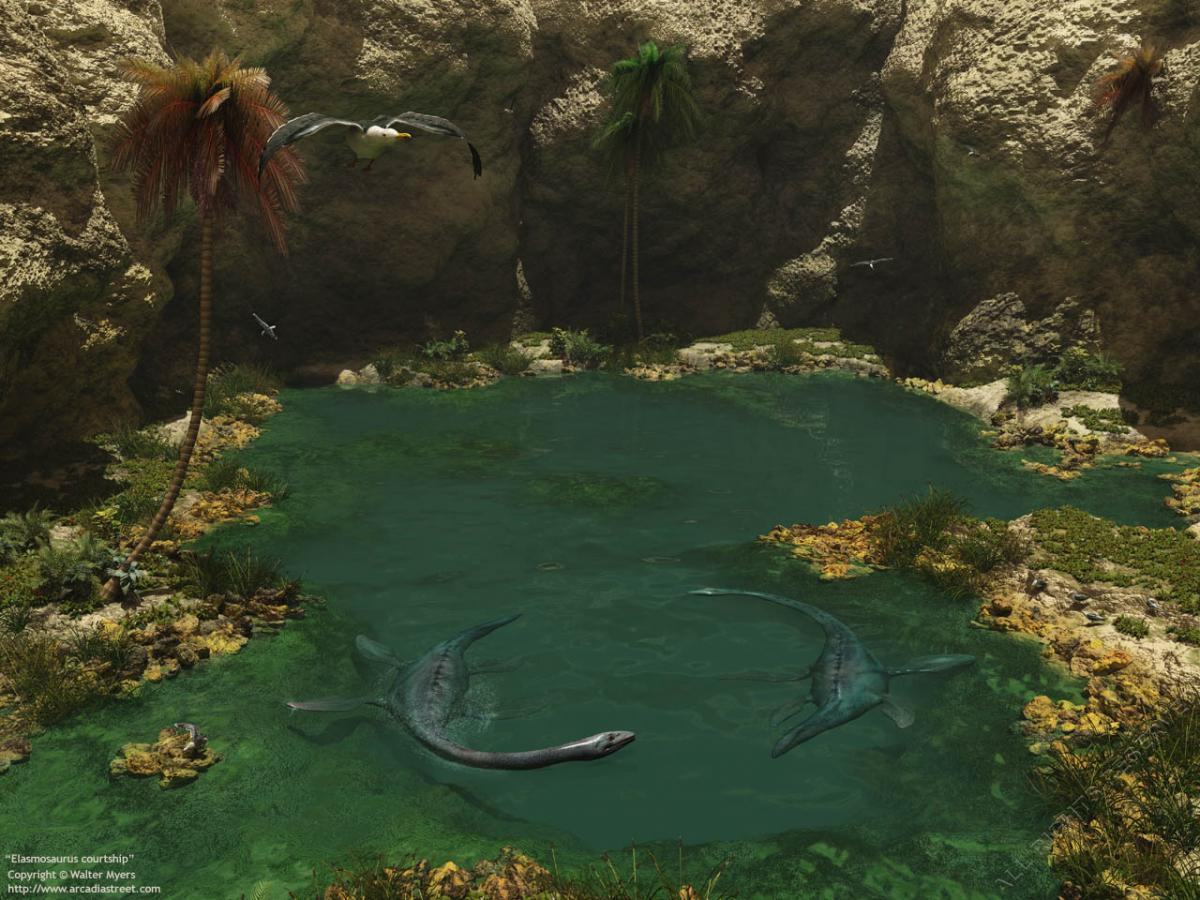 elasmosaurus courtship 1280