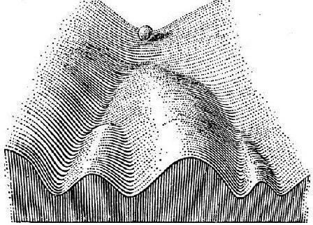Fig. 3. The epigenetic landscape according to C. H. Waddington [10]. Ontogenesis is compared to a ball rolling down a surface of complex relief. More probable states of the developing system correspond to the valleys of the surface. Accepting thi