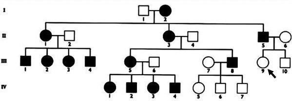 genetic