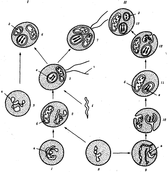 image004