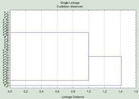 Fig. 2. Results of clustering the females of 30 “mouse” species by 50 traits (data conditional). The dissertation author says that the variability of females and males follows different regularities, and draws attention to the fact that the females form two groups, within which...
