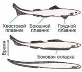 image111