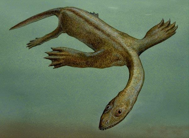 keichousaurus hui