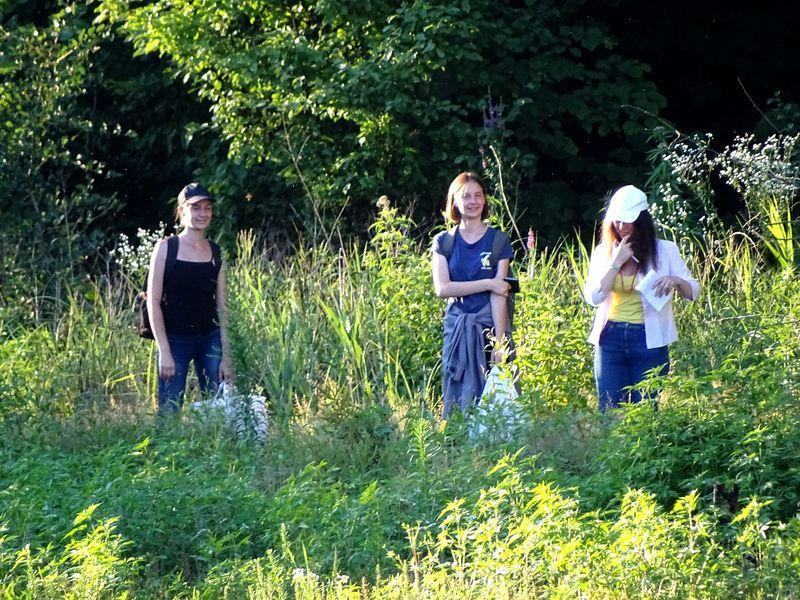 ldp 05 07 2018 26