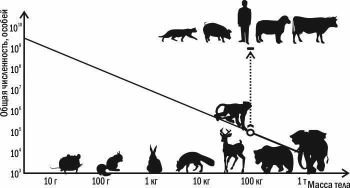 livestock
