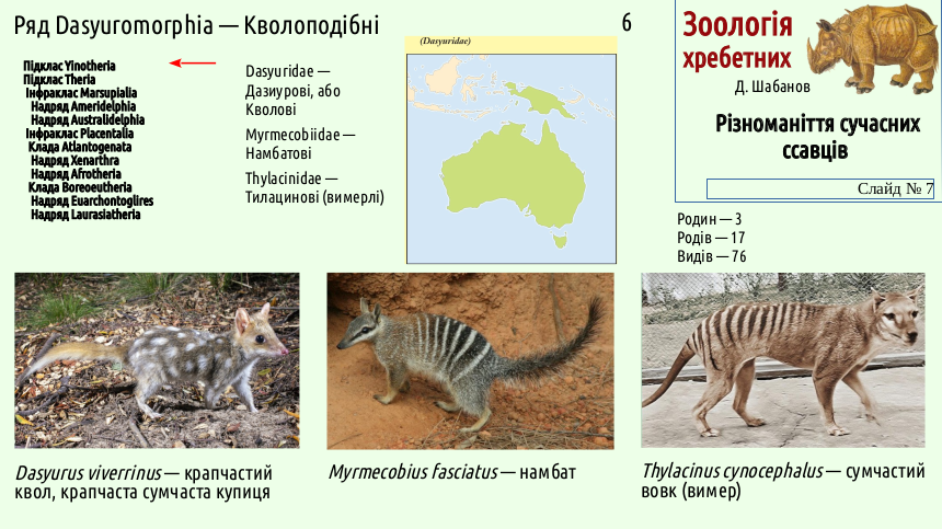 mammal systematics 07