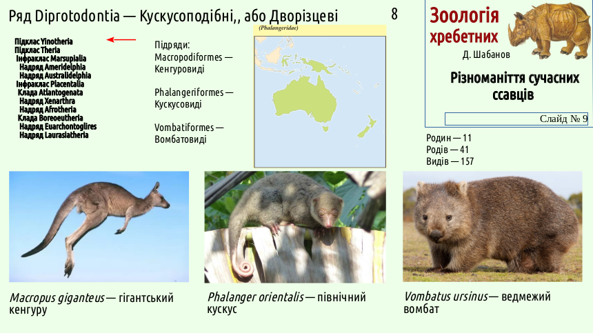 mammal systematics 09