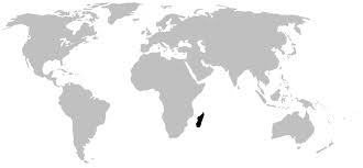 mantellidae