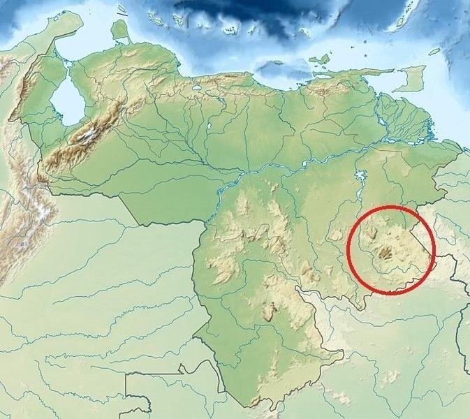 map ceuthmatidae