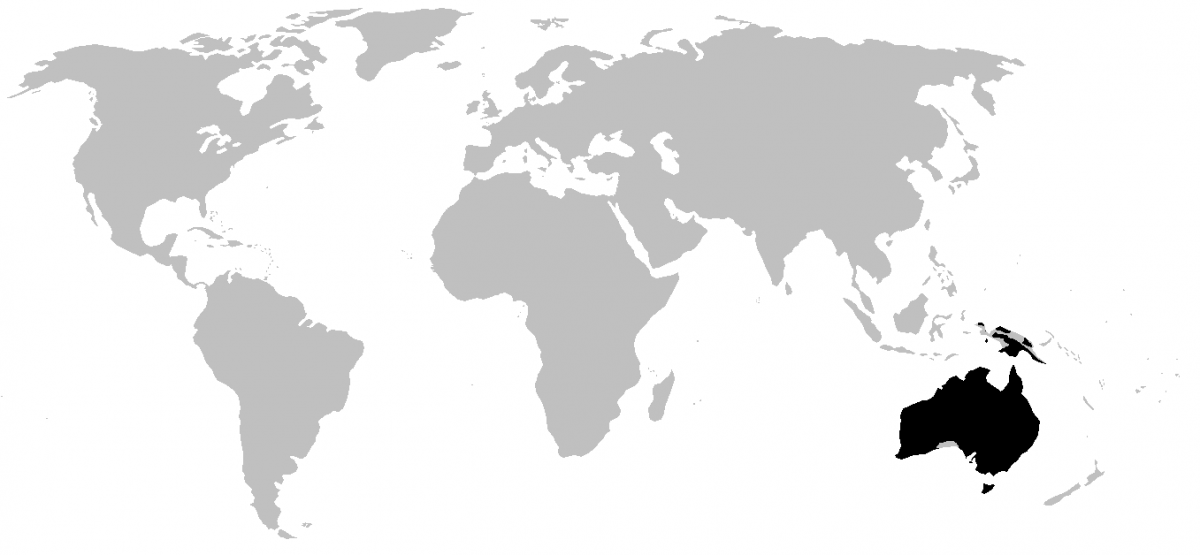 myobatrachidae range