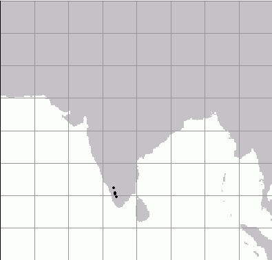 nasikabatrachus map